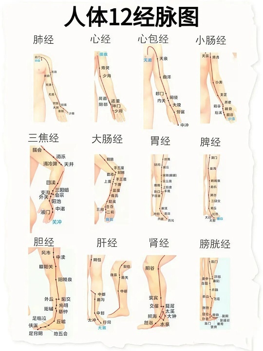 Schematic human figure with curved lines suggesting meridian pathways for teaching